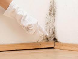 Best Attic Mold Removal  in Delta, UT